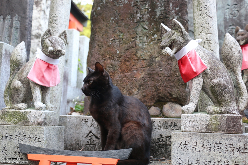 cats in Japan
